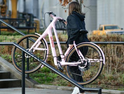 LeMond Dutch fiche technique et avis